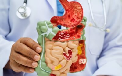 Desvendando a Saúde Digestiva: um Sistema Digestivo Saudável